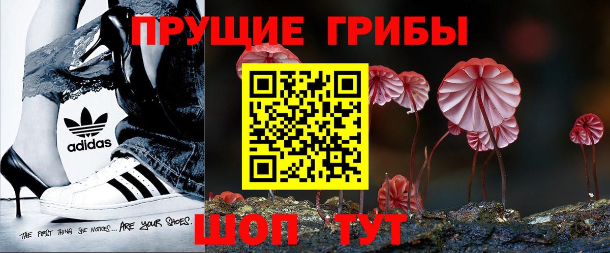 Старая Русса  Псилоцибиновые грибы ЛСД  Псилоцибиновые грибы мухоморы  Вход с VPN 